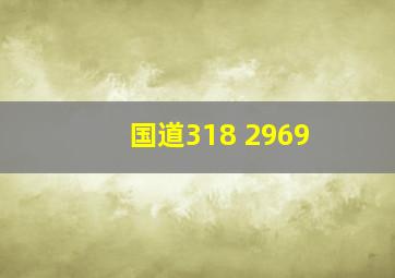 国道318 2969